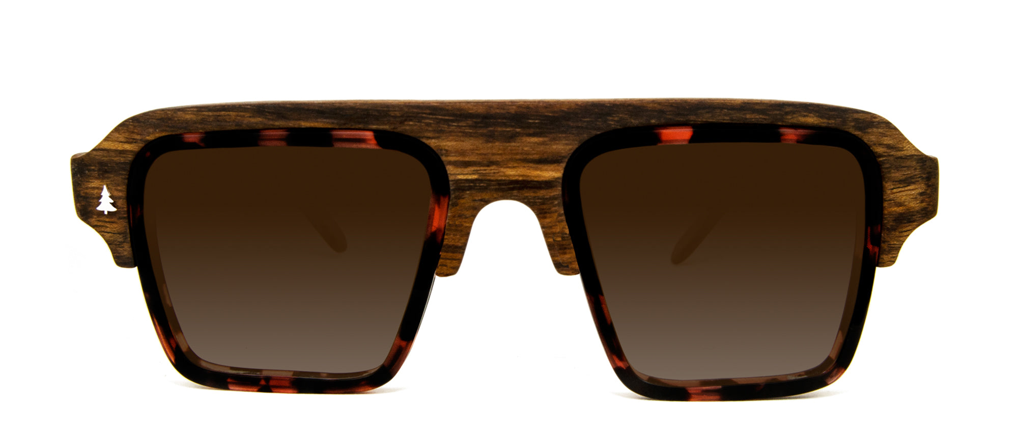 Laveta Eyewear-Sunglasses-goleta10-carey-mongoy