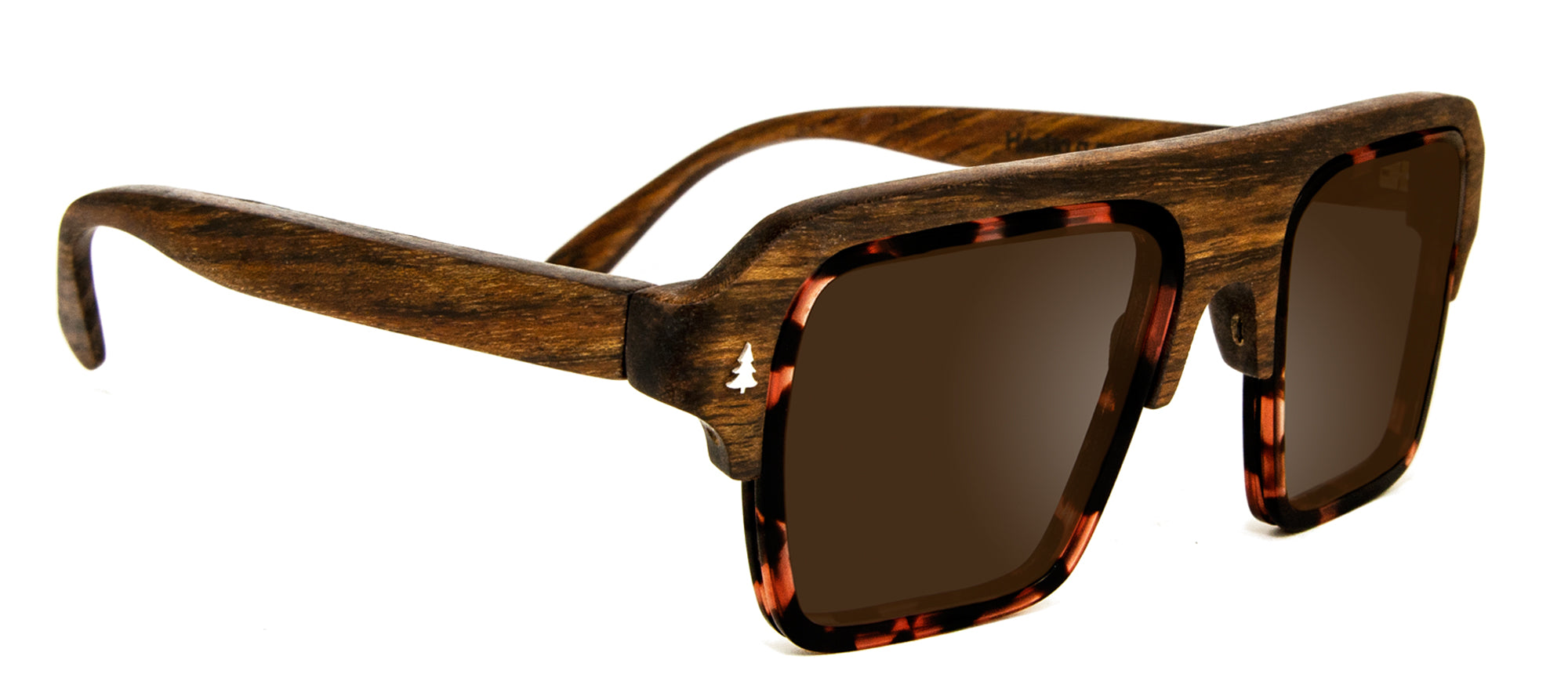 Laveta Eyewear-Sunglasses-goleta10-carey-mongoy