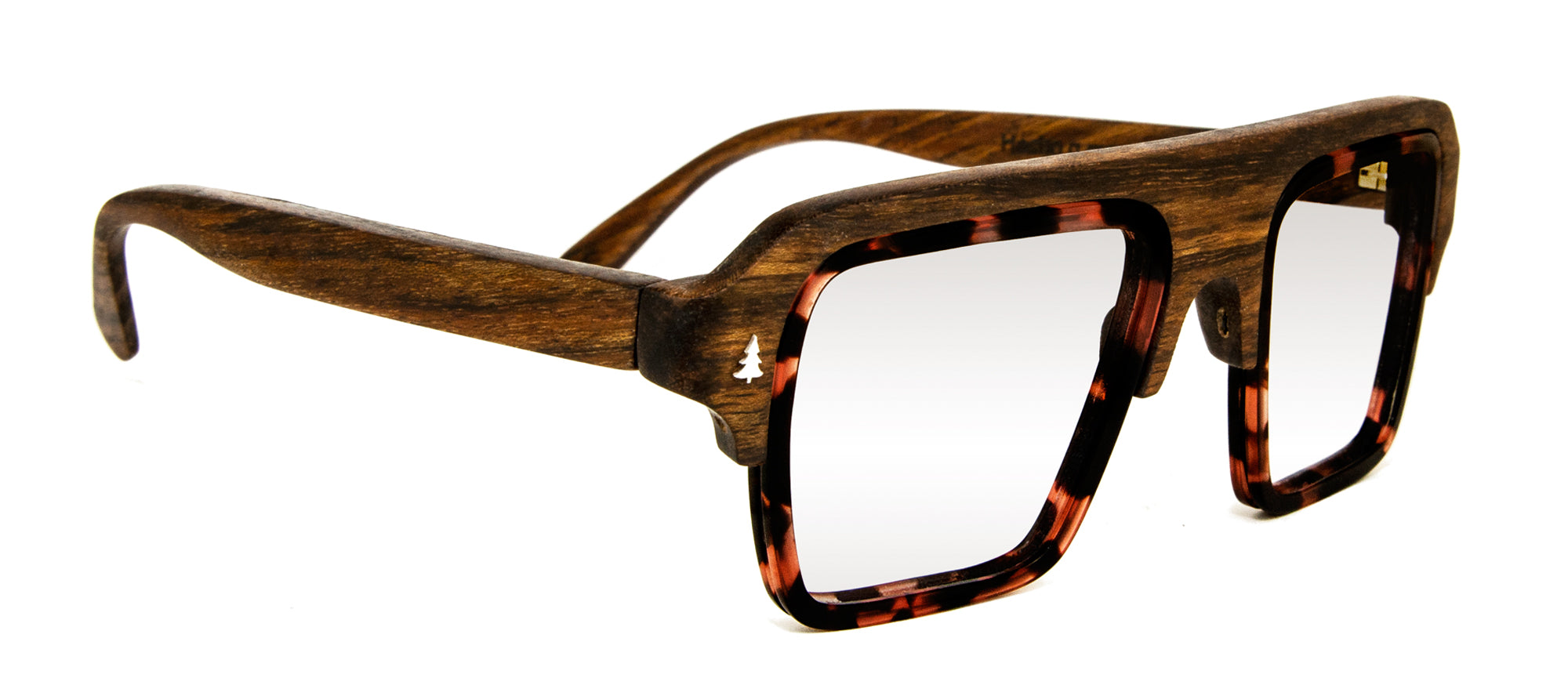 Laveta Eyewear-Sunglasses-goleta10-carey-mongoy