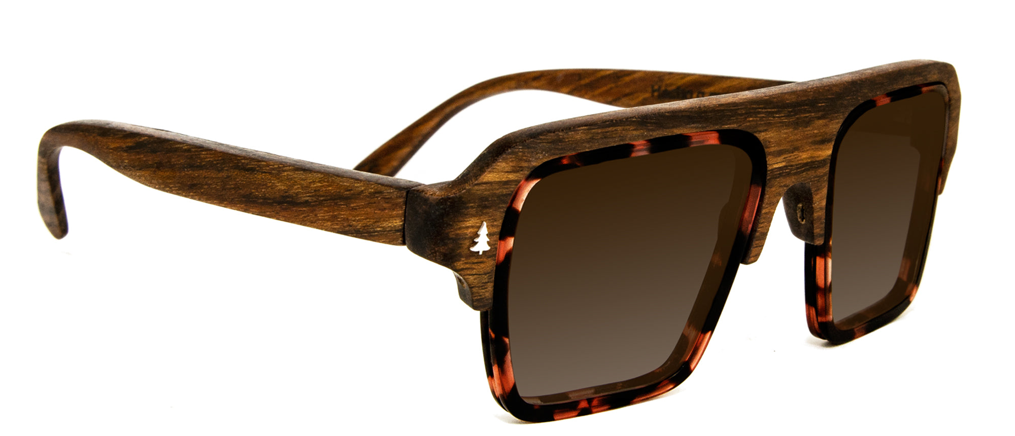 Laveta Eyewear-Sunglasses-goleta10-carey-mongoy