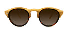 Laveta Eyewear-Sunglasses-terralxaac-carey-olive